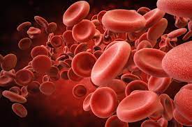 Red blood cells